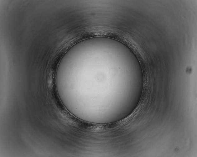 X0000100860074200806200848