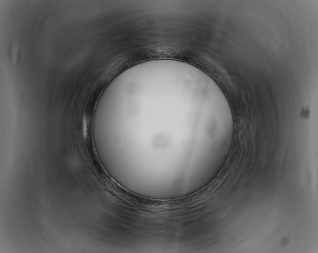 X0000100860075200806200848