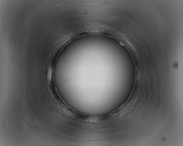 X0000100860076200806200848