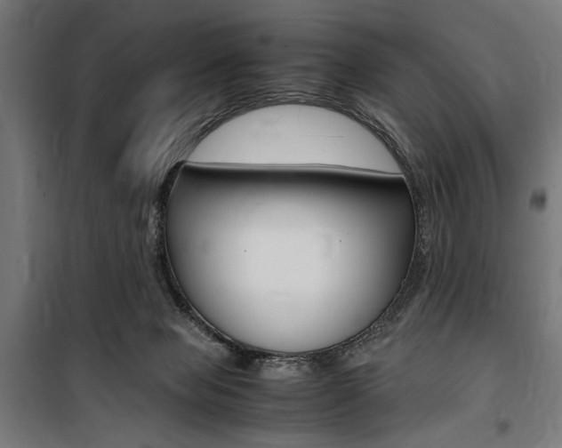 X0000100860077200806200848