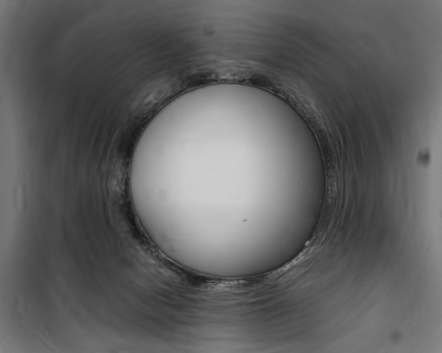 X0000100860078200806200848