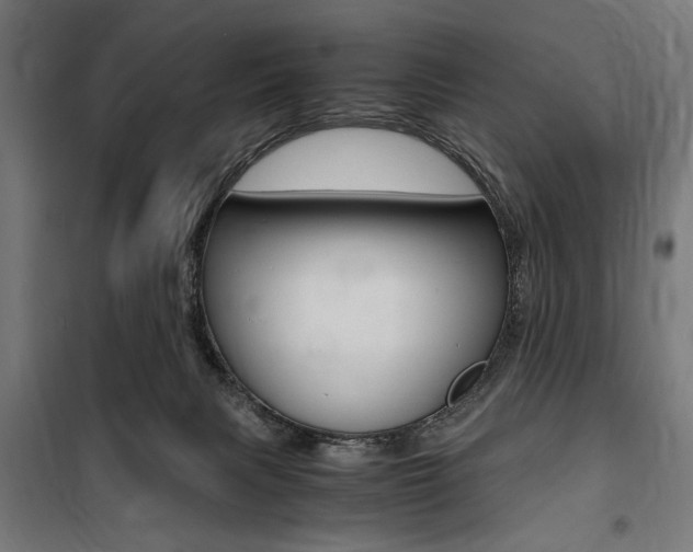 X0000100860079200806200848