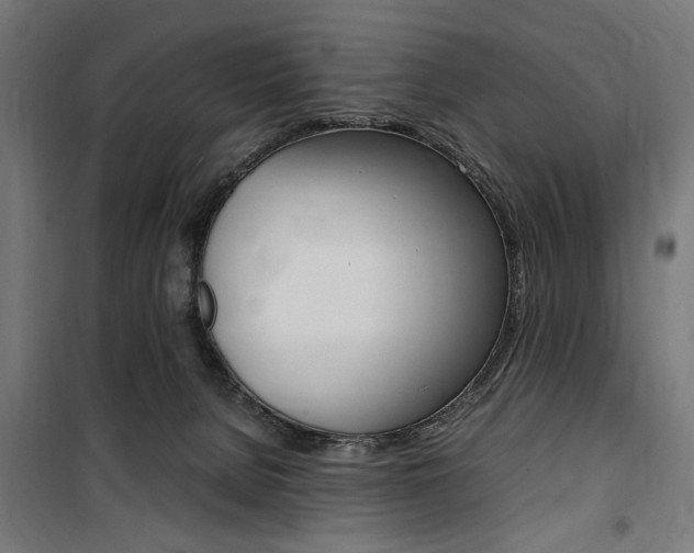 X0000100860080200806200848