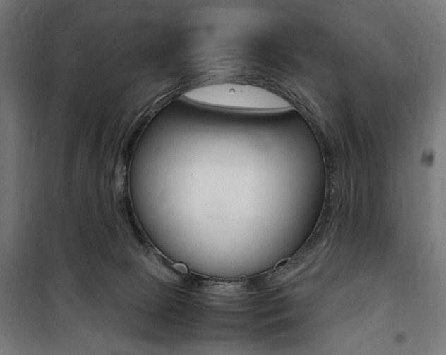 X0000100860081200806200848