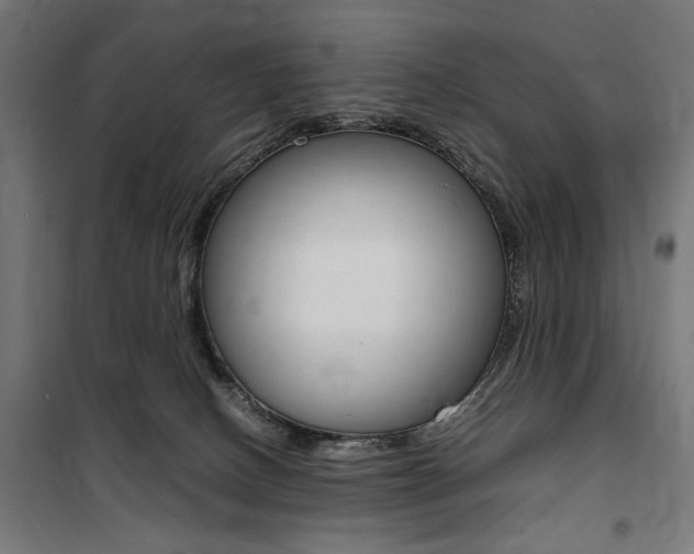 X0000100860082200806200848