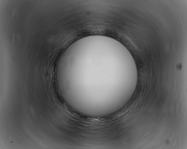 X0000100860083200806200848