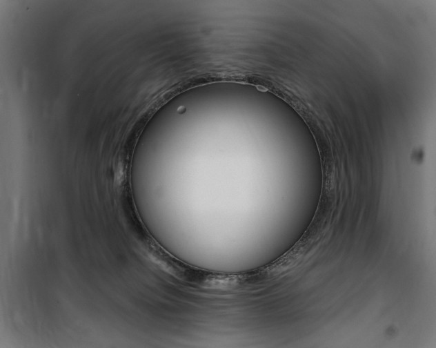 X0000100860084200806200848