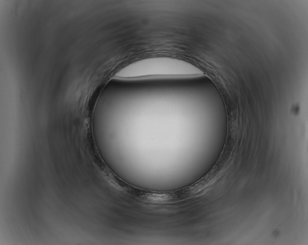 X0000100860085200806200848