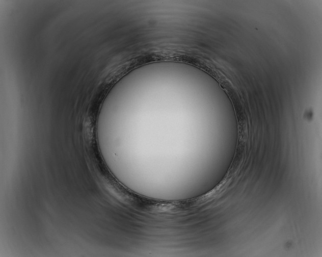 X0000100860086200806200848