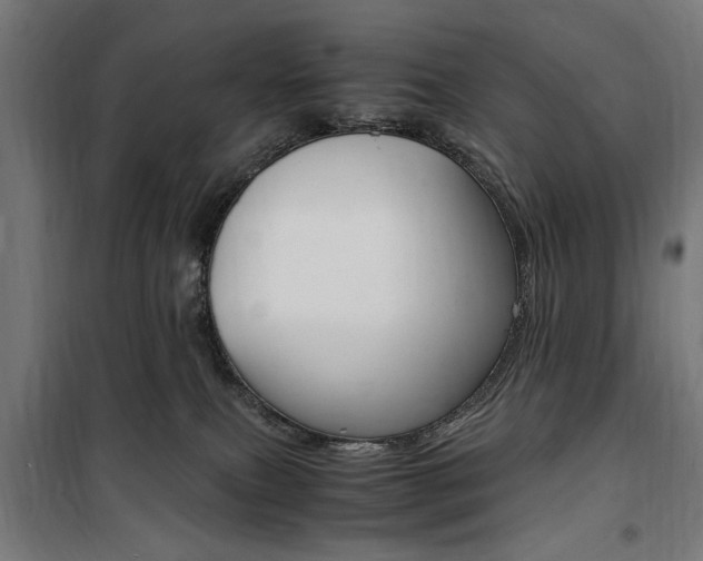 X0000100860087200806200848