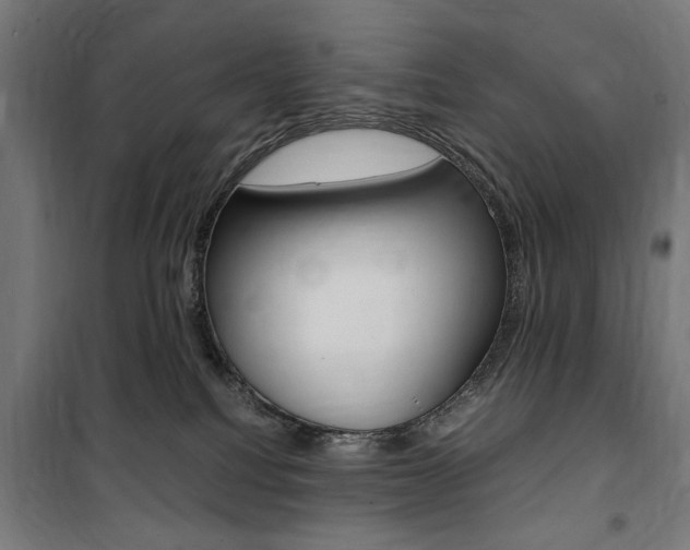 X0000100860088200806200848