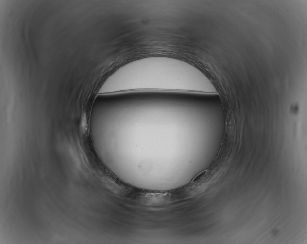 X0000100860089200806200848