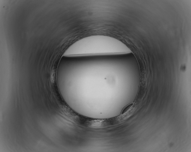 X0000100860090200806200848