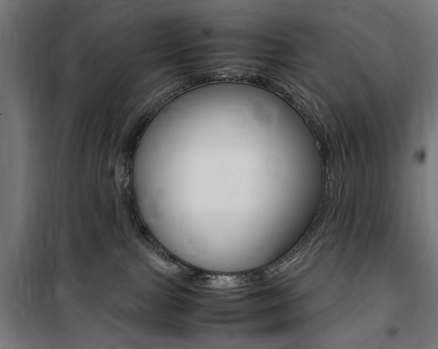 X0000100860091200806200848