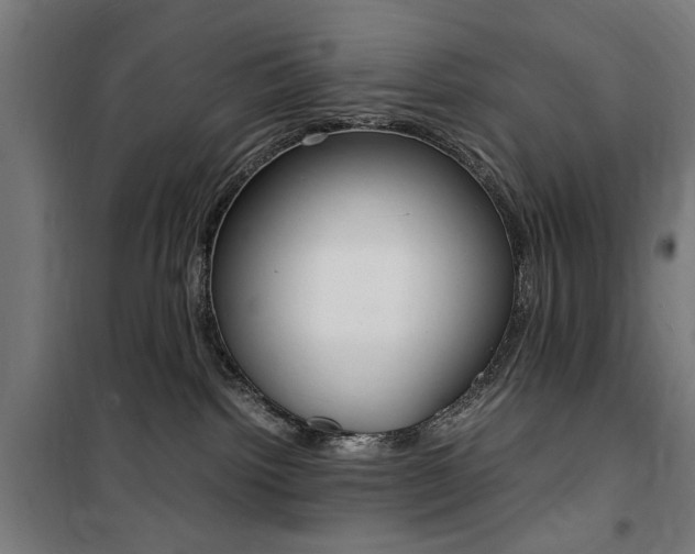 X0000100860092200806200848