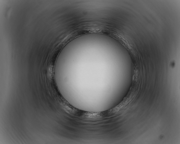 X0000100860093200806200848