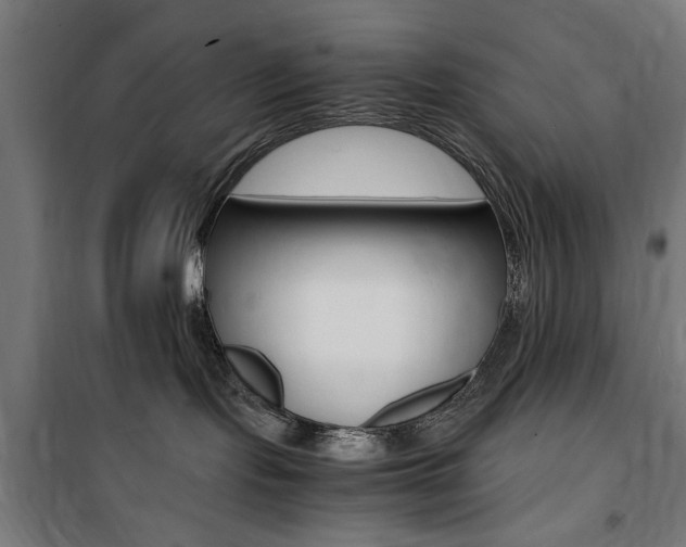 X0000100860095200806200848