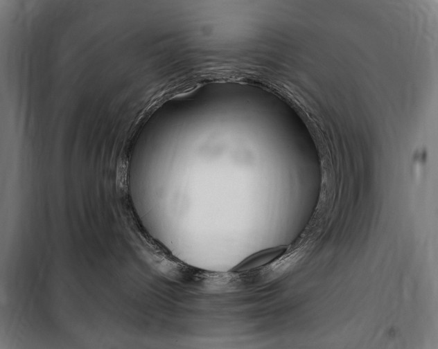 X0000100860096200806200848