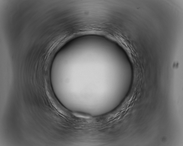 X0000100860097200806200848