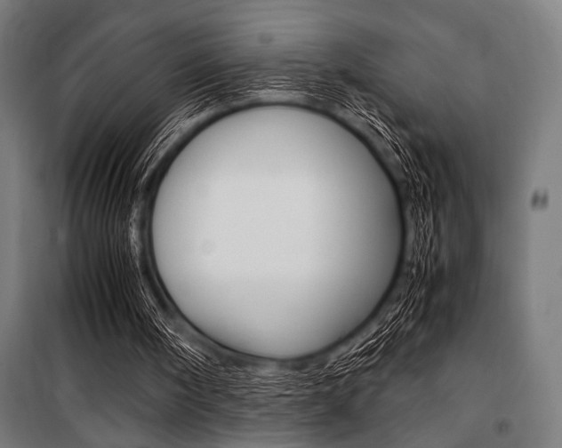 X0000100860098200806200848