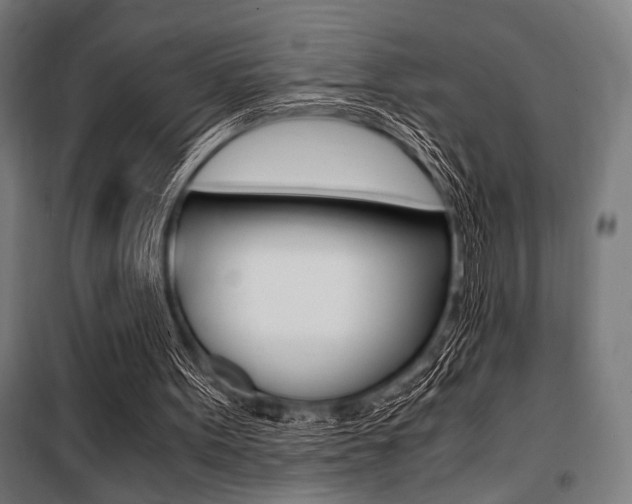 X0000100860099200806200848