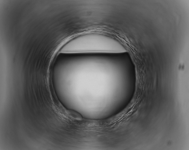 X0000100860100200806200848