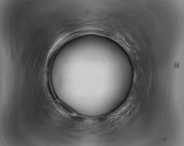 X0000100860101200806200848