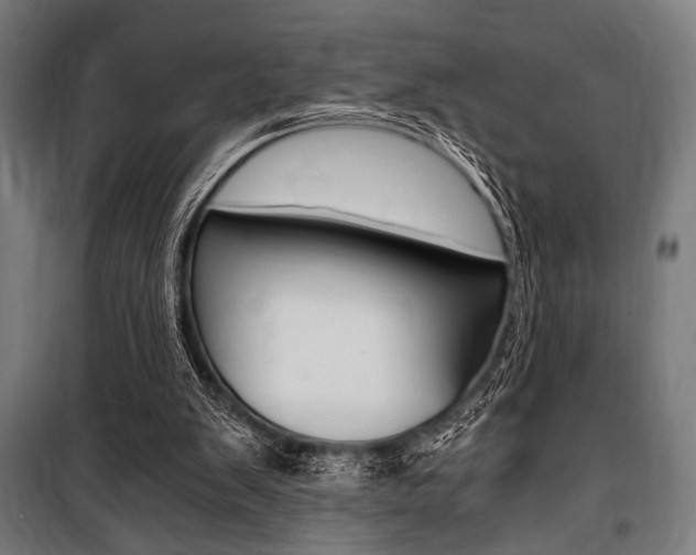 X0000100860103200806200848