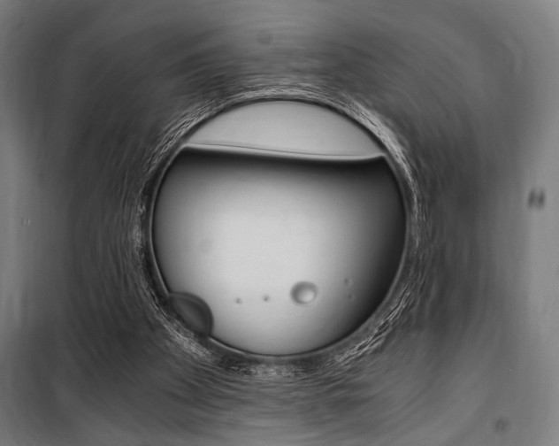 X0000100860105200806200848