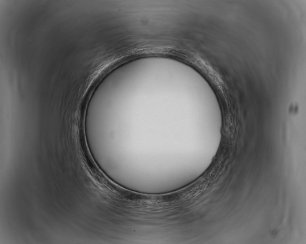 X0000100860107200806200848