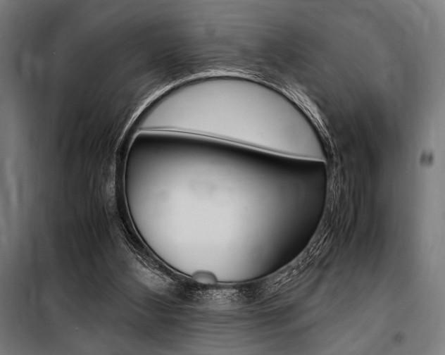 X0000100860108200806200848