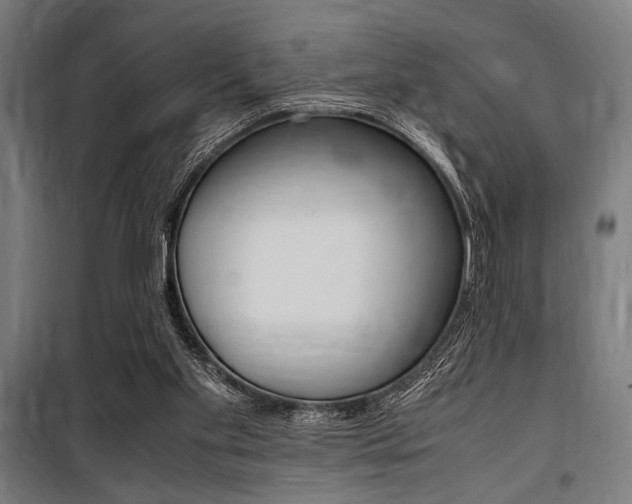 X0000100860109200806200848