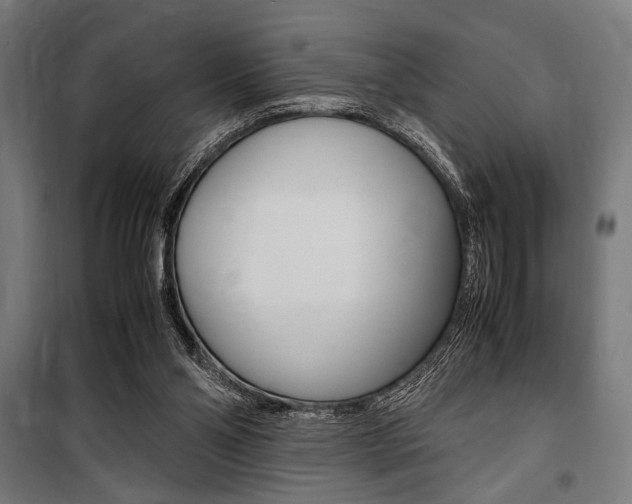 X0000100860110200806200848