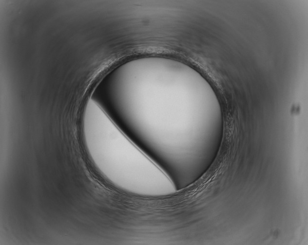 X0000100860111200806200848