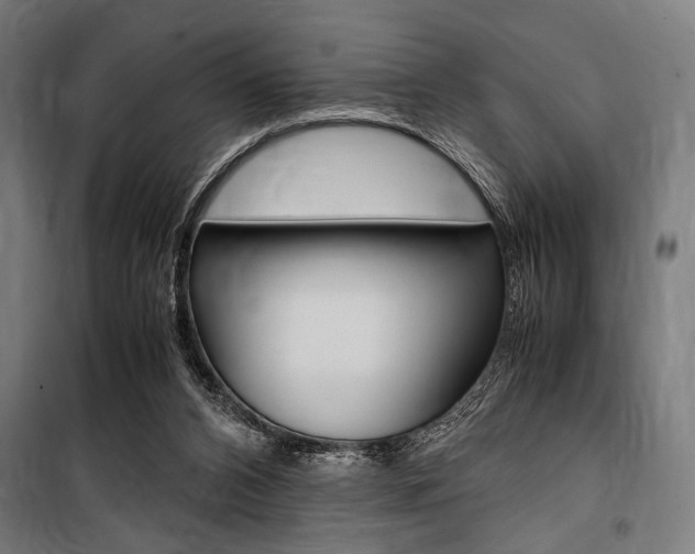 X0000100860112200806200848