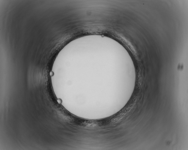 X0000100860113200806200848