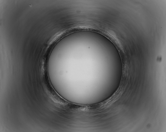 X0000100860116200806200847