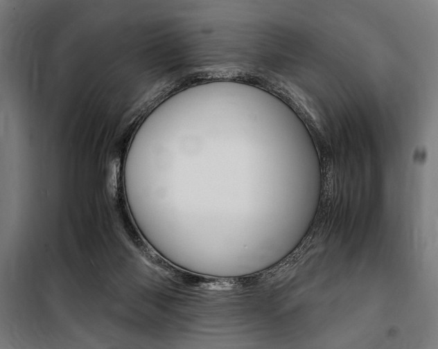 X0000100860118200806200847