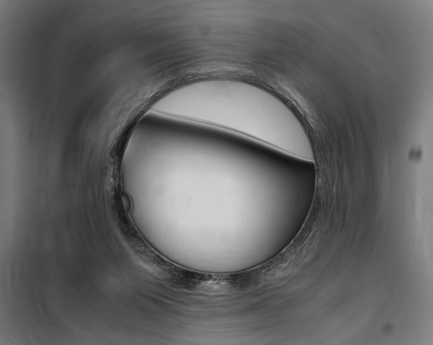 X0000100860119200806200847