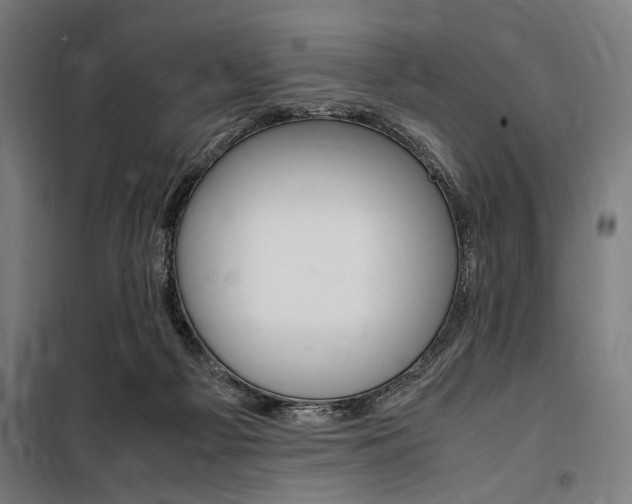 X0000100860121200806200847