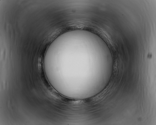 X0000100860122200806200847