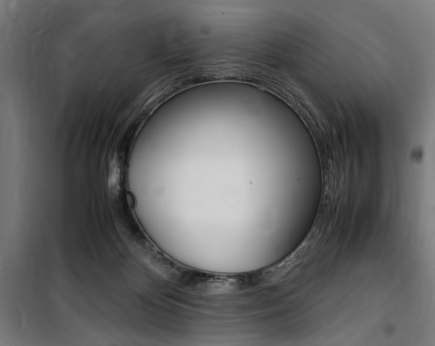 X0000100860124200806200847