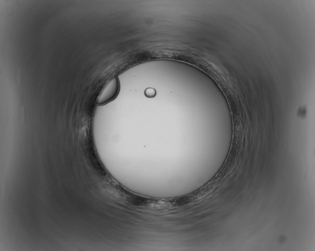 X0000100860125200806200847