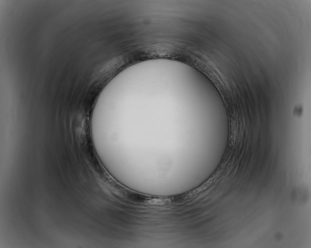 X0000100860126200806200847