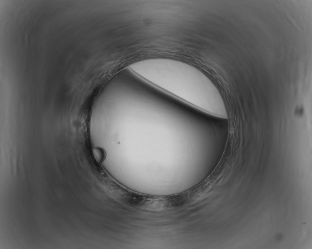 X0000100860127200806200847