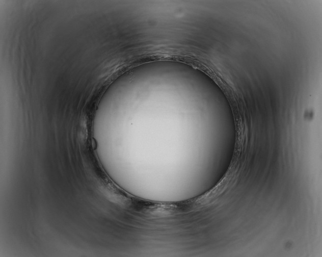 X0000100860128200806200847