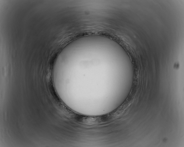 X0000100860129200806200847