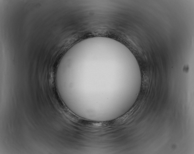 X0000100860130200806200847