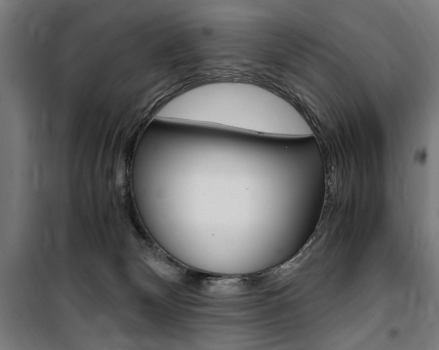 X0000100860132200806200847