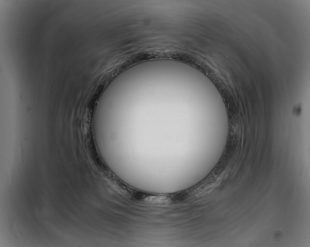 X0000100860133200806200847